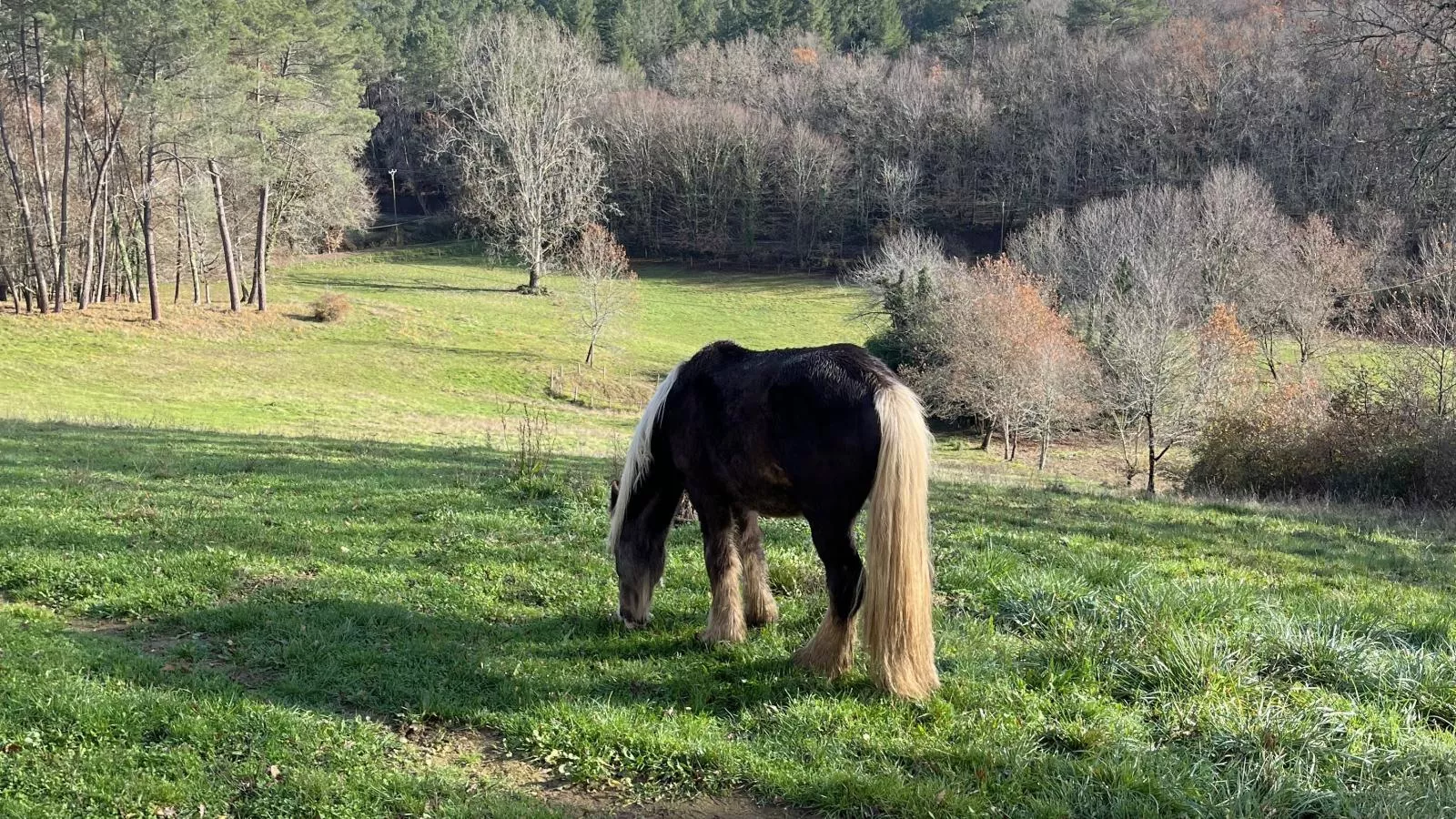 Le Mas dAmour-Uitzicht zomer