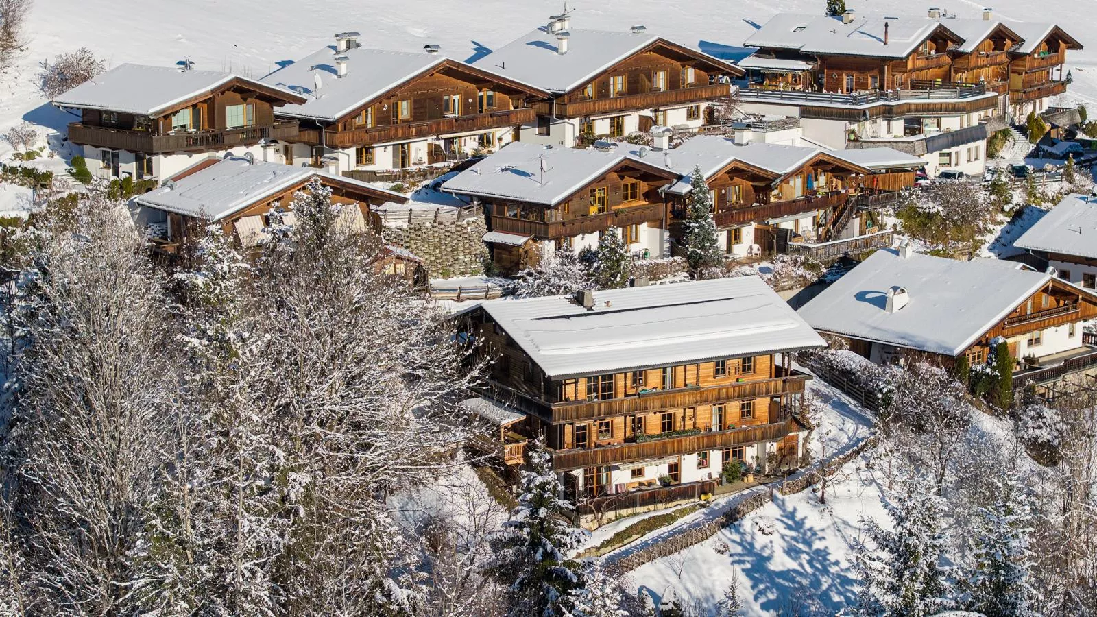 DAS Alpbach-Exterieur winter