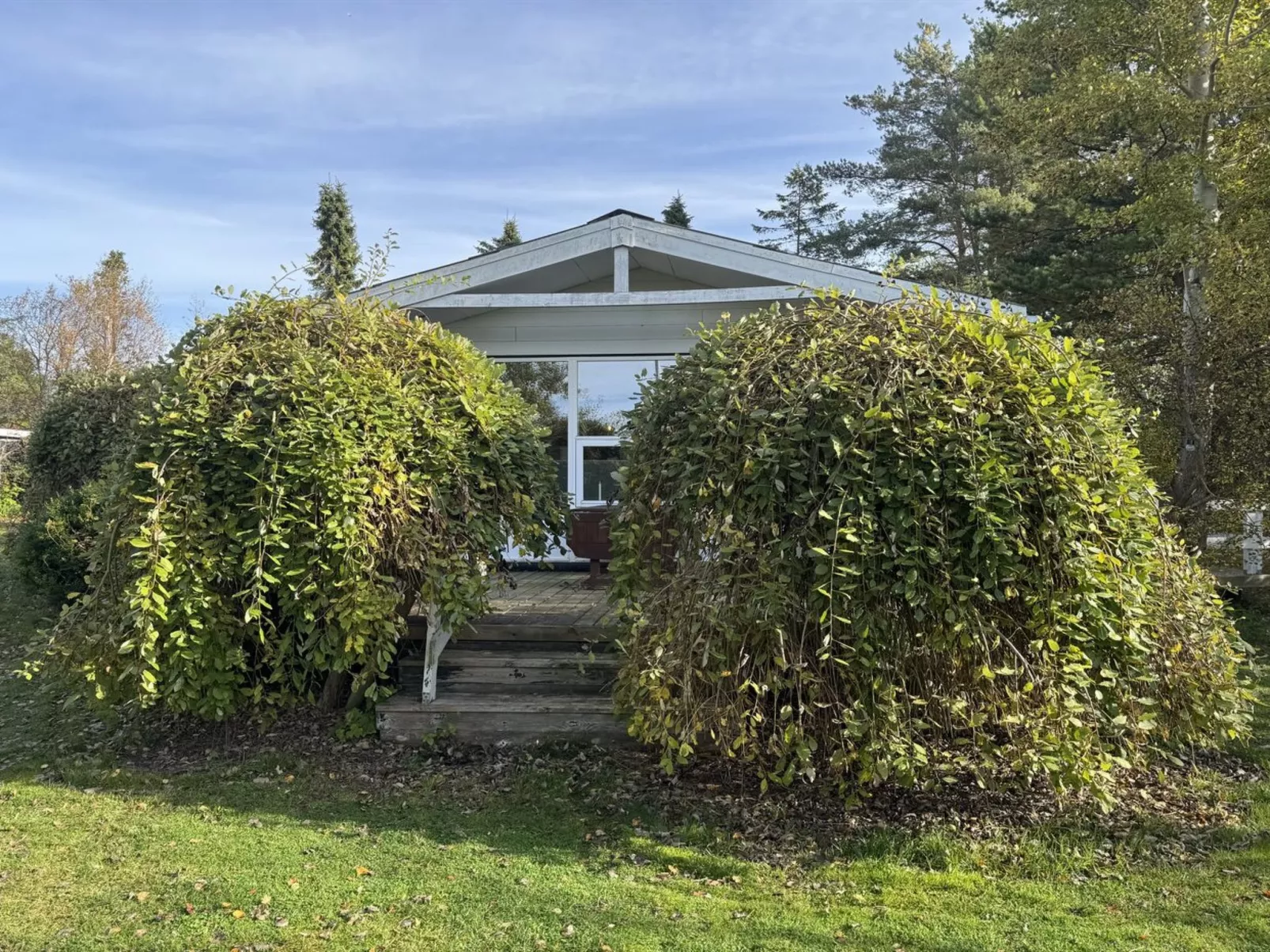 "Felicia" -  from the sea - Buiten