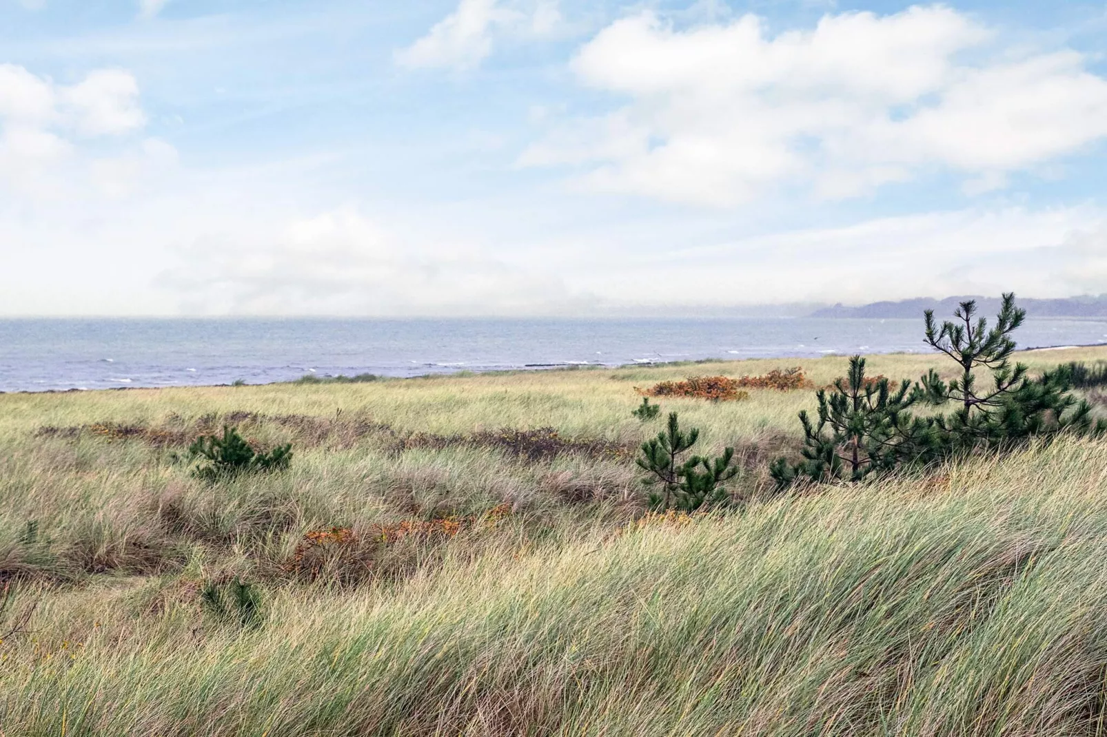 6 persoons vakantie huis in Store Fuglede-By Traum-Uitzicht