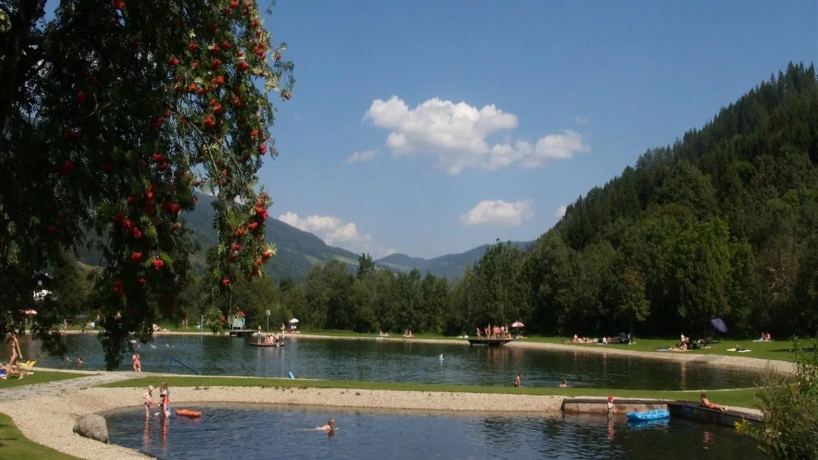 De Berghut-Gebieden zomer 1km