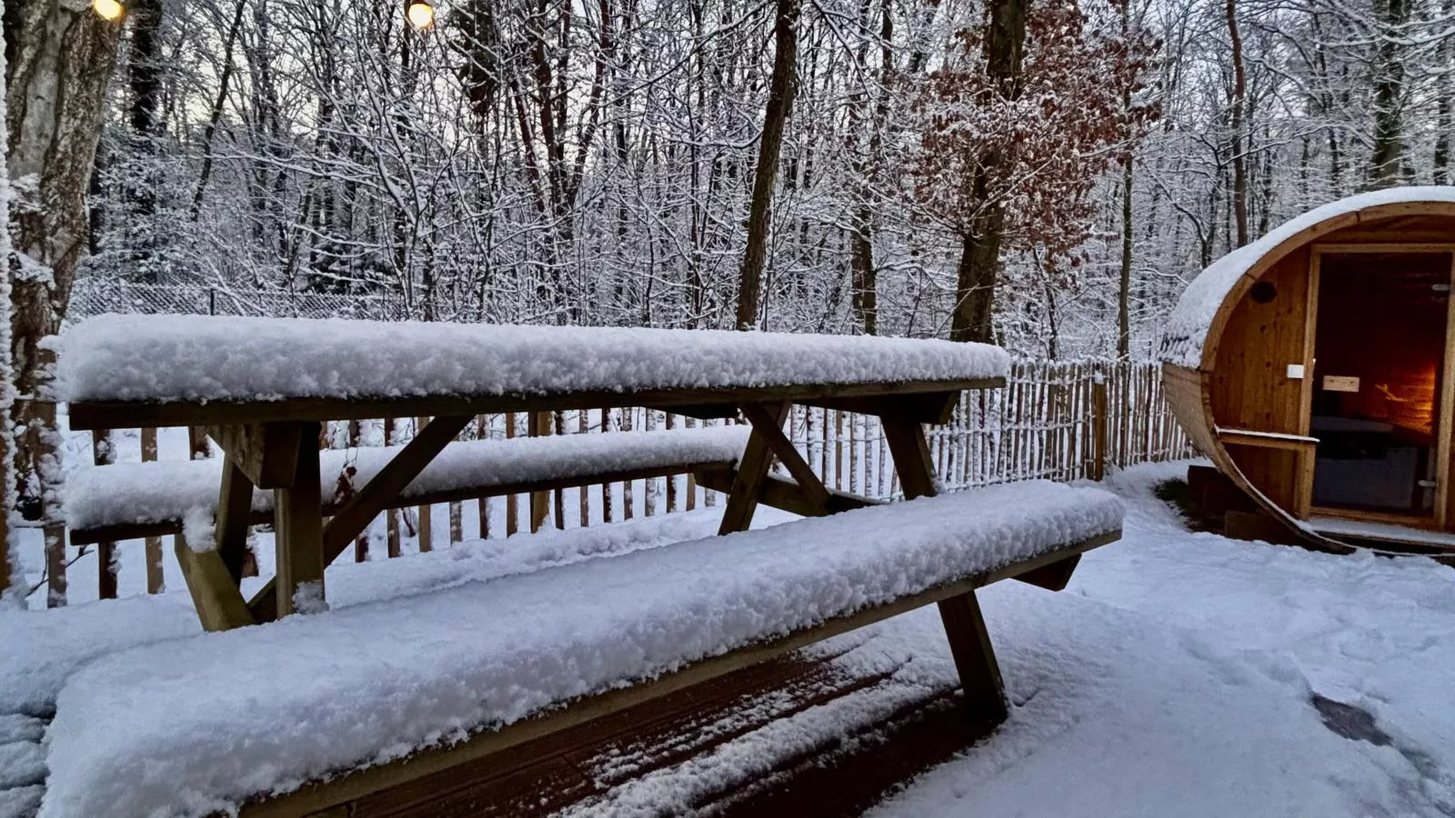 Cabin 22-Tuin winter