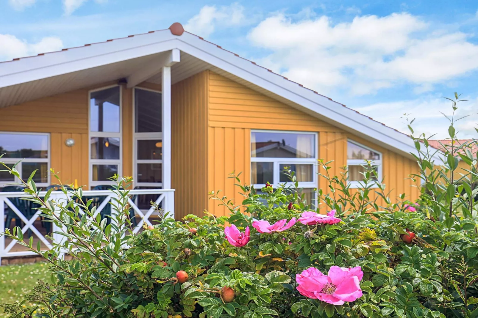 4 sterren vakantie huis in FRIEDRICHKOOG-Buitenlucht