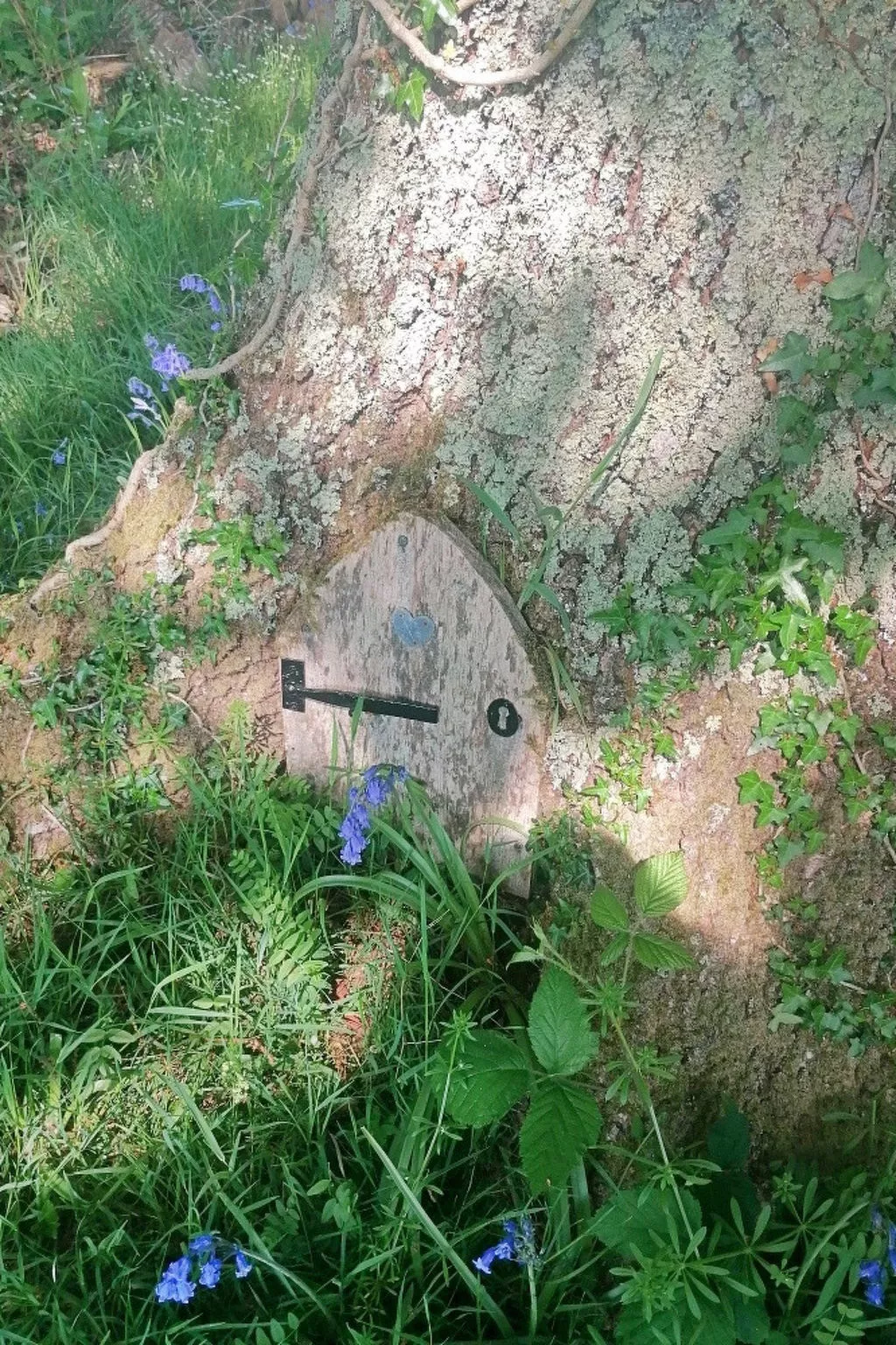 Shepherd's Hut at Hilltop Farm - Buiten