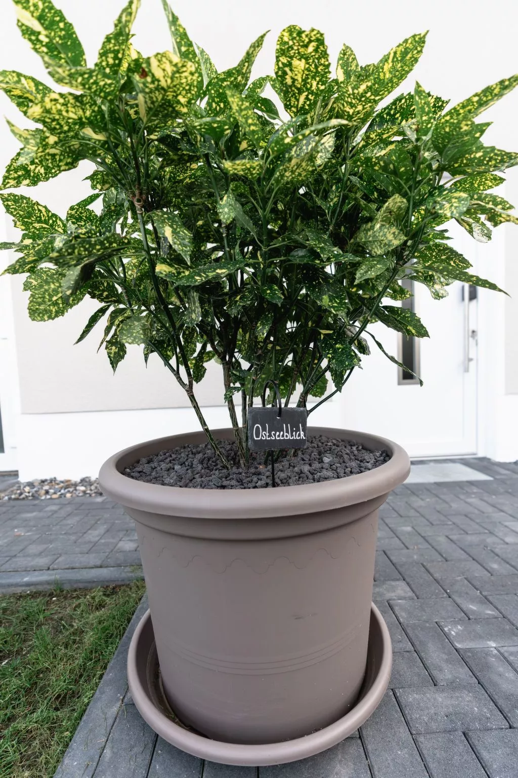 Herzlich willkommen im Ostseehaus am Naturstand - Ostseeblick! - Image-tags.info