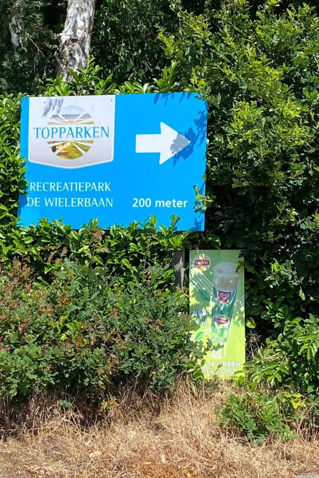 Ferien in Wageningen - Binnen