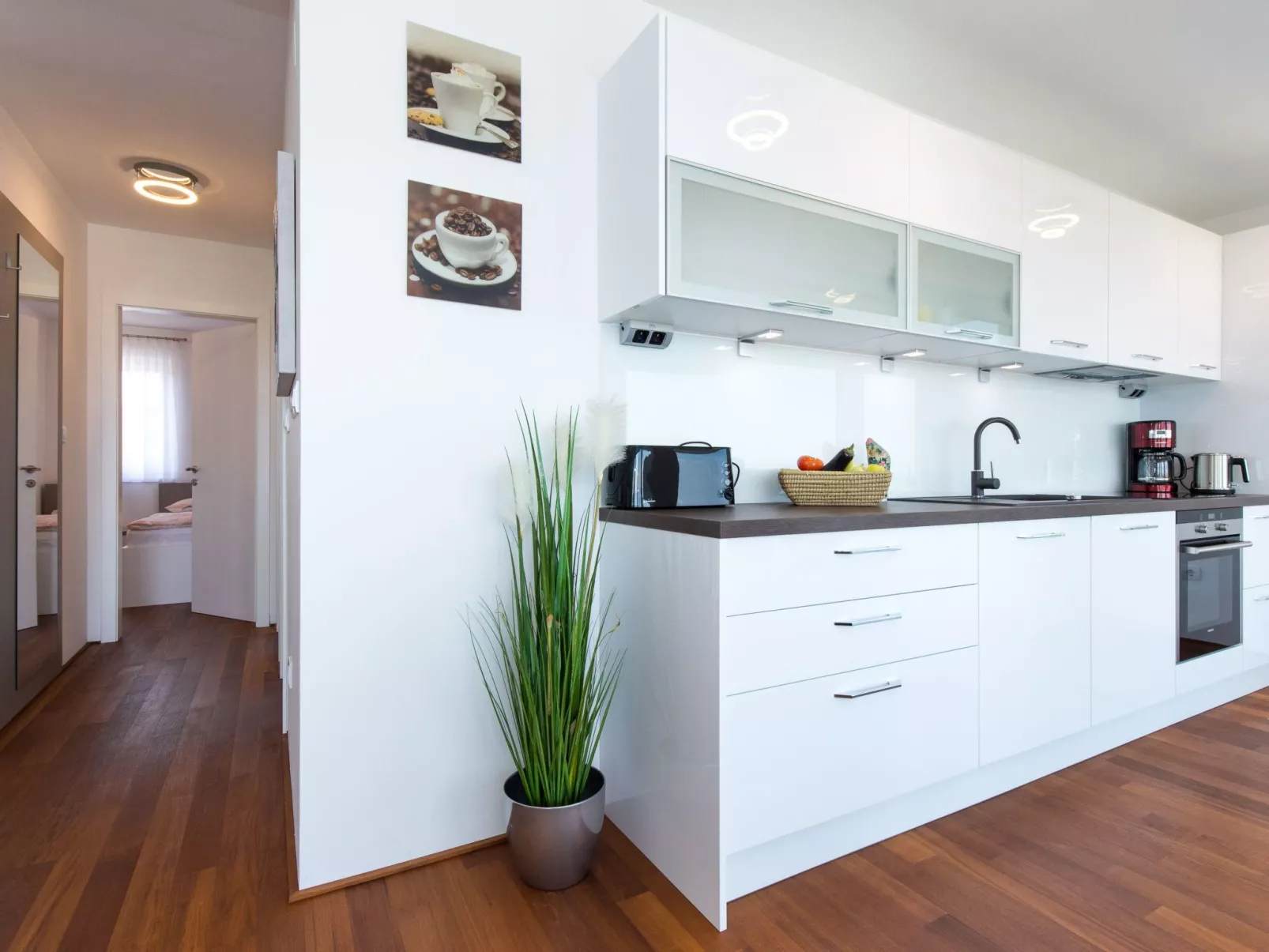 Niko 2 - Image-tags.info