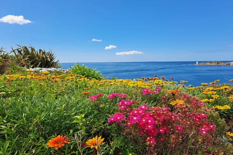 Holiday home Plozévet-Gebieden zomer 5km