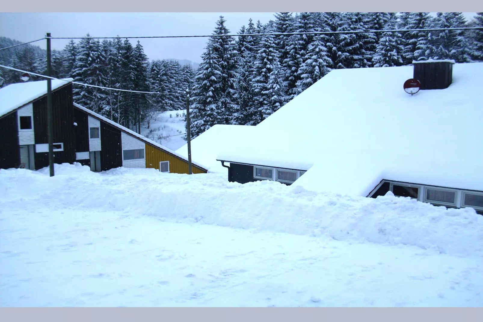 Dachsbau-Exterieur winter