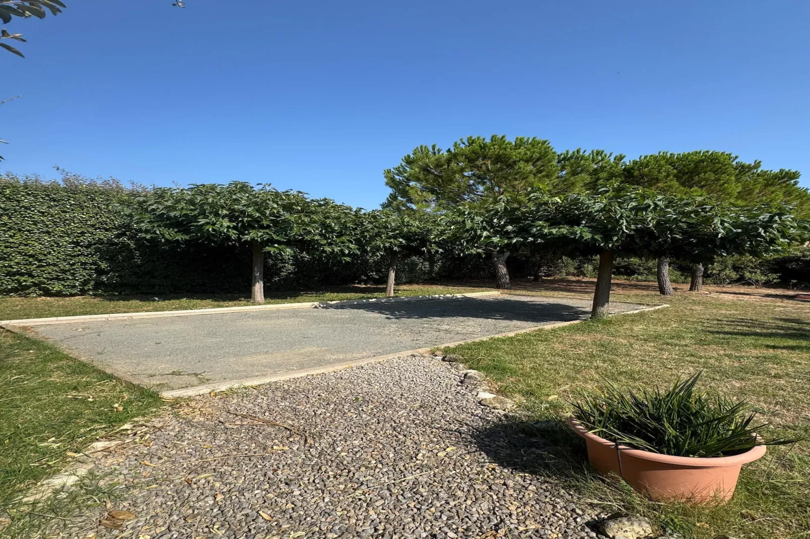 Villa l'Olivier-Tuinen zomer