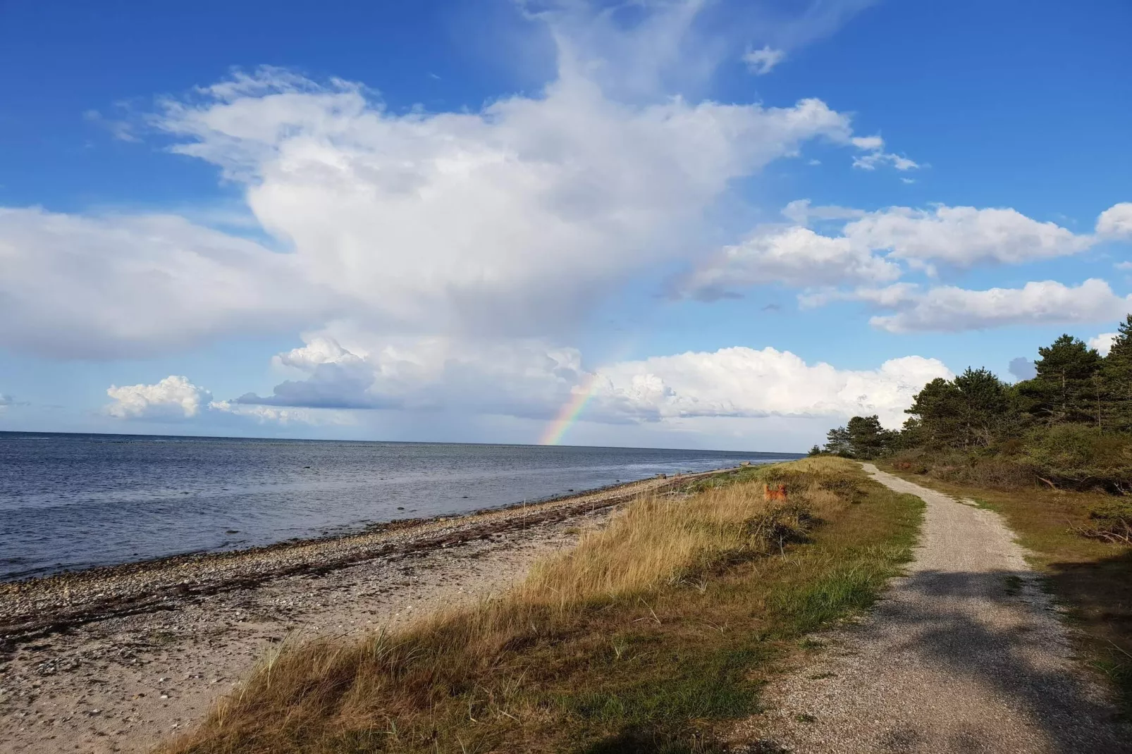 6 persoons vakantie huis in Glesborg-By Traum-Waterzicht