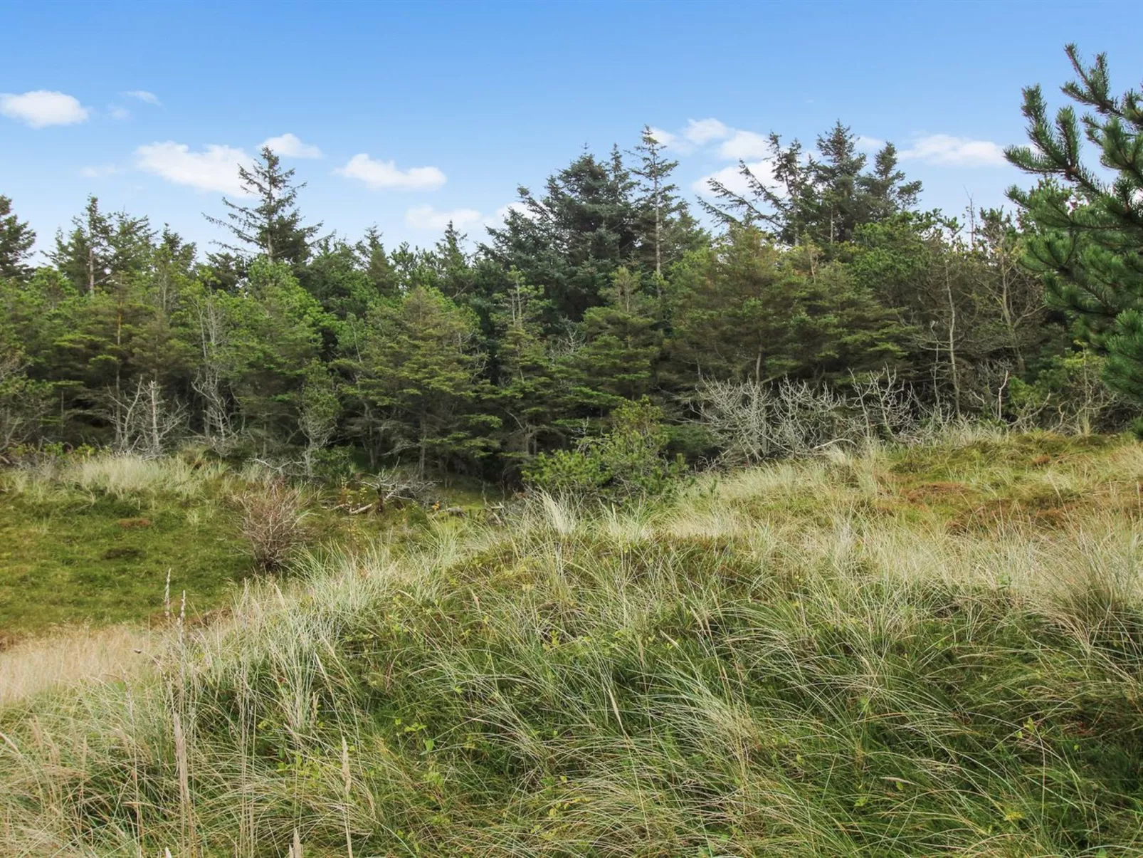 "Griselda" - 700m from the sea - Buiten