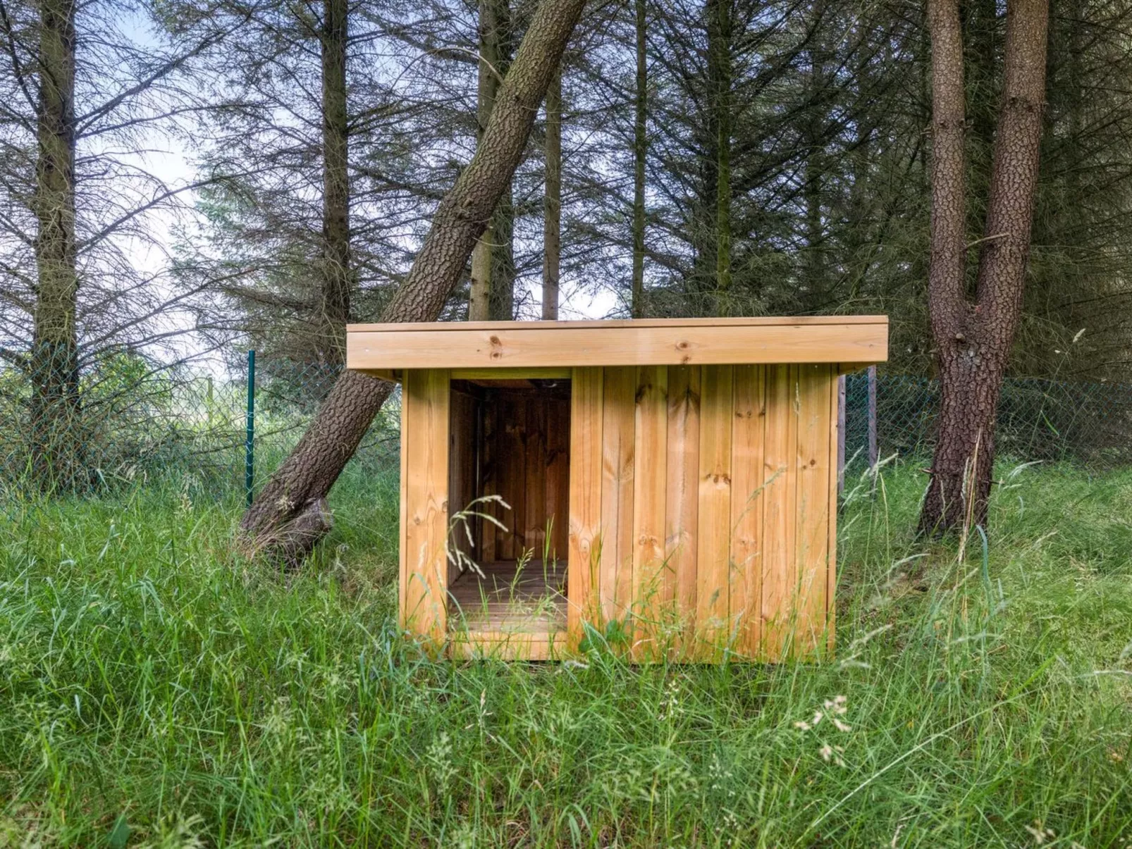 "Marlise" - 2.5km from the sea-Buiten