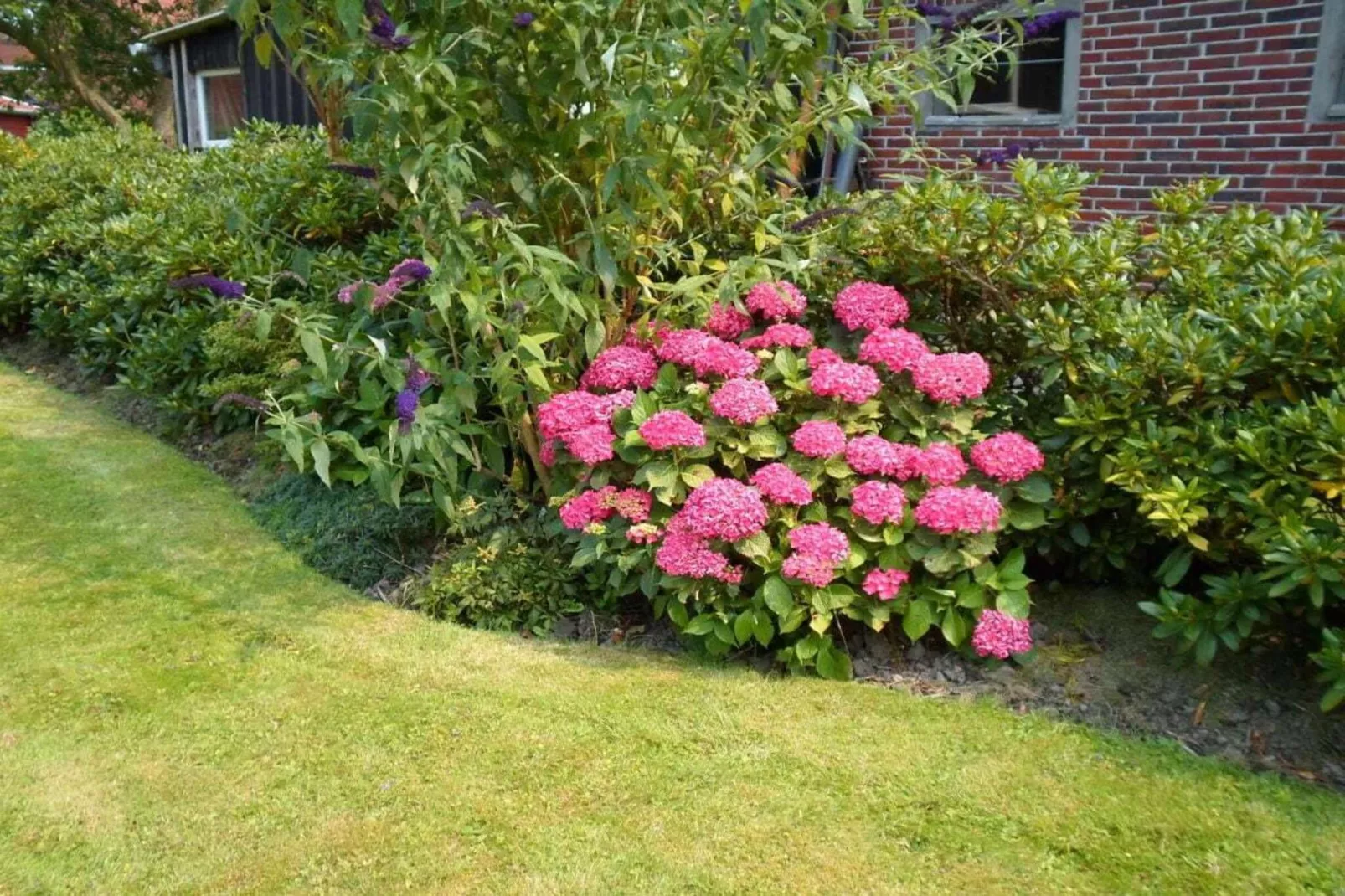 204827-Buitenkant zomer