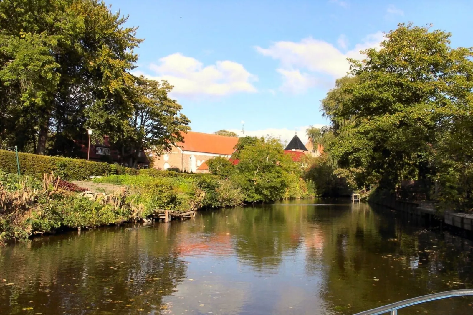 49791-Gebieden zomer 1km