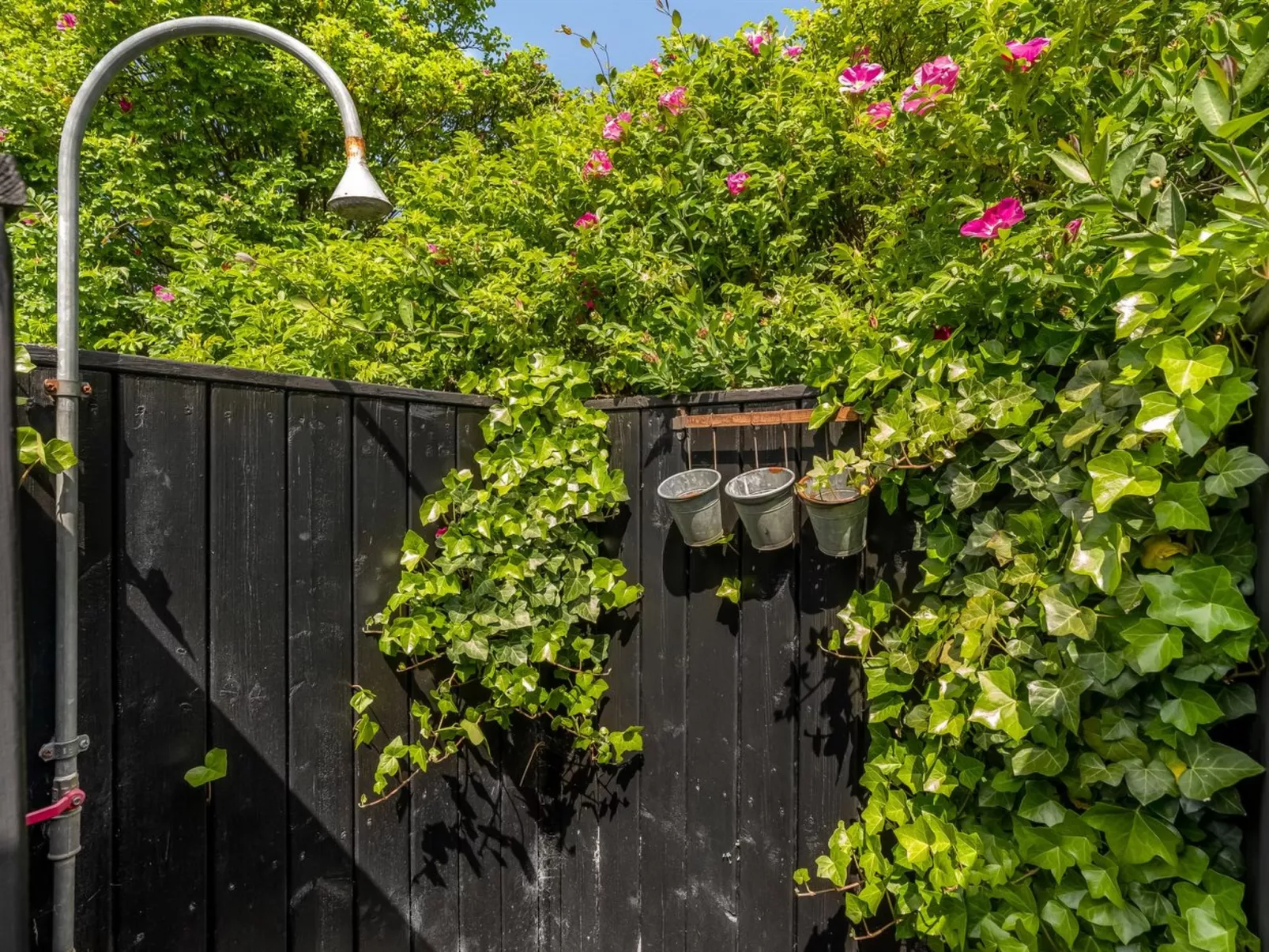 "Annemone" - 900m from the sea-Buiten