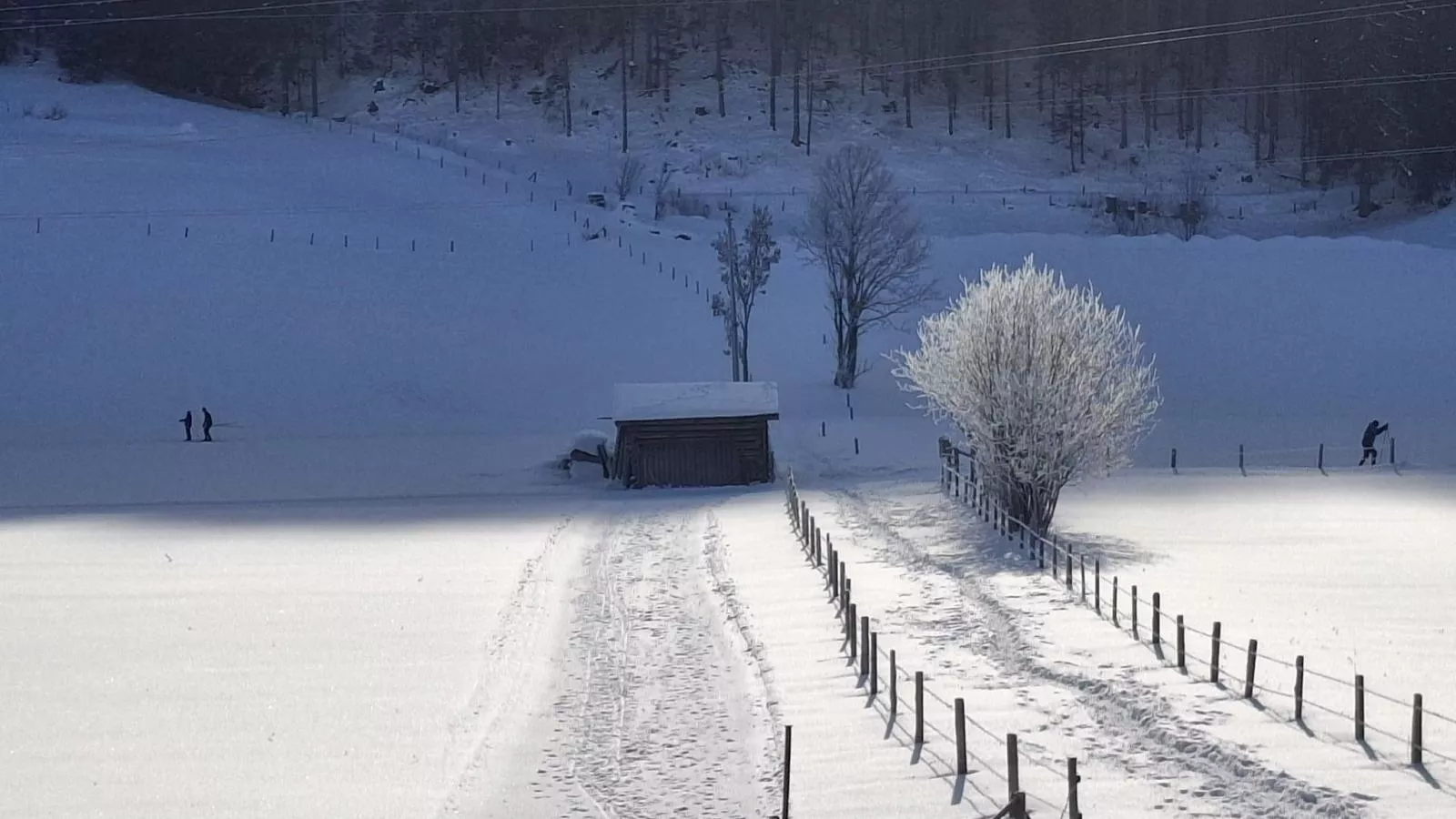 Joss-Gebied winter 1km