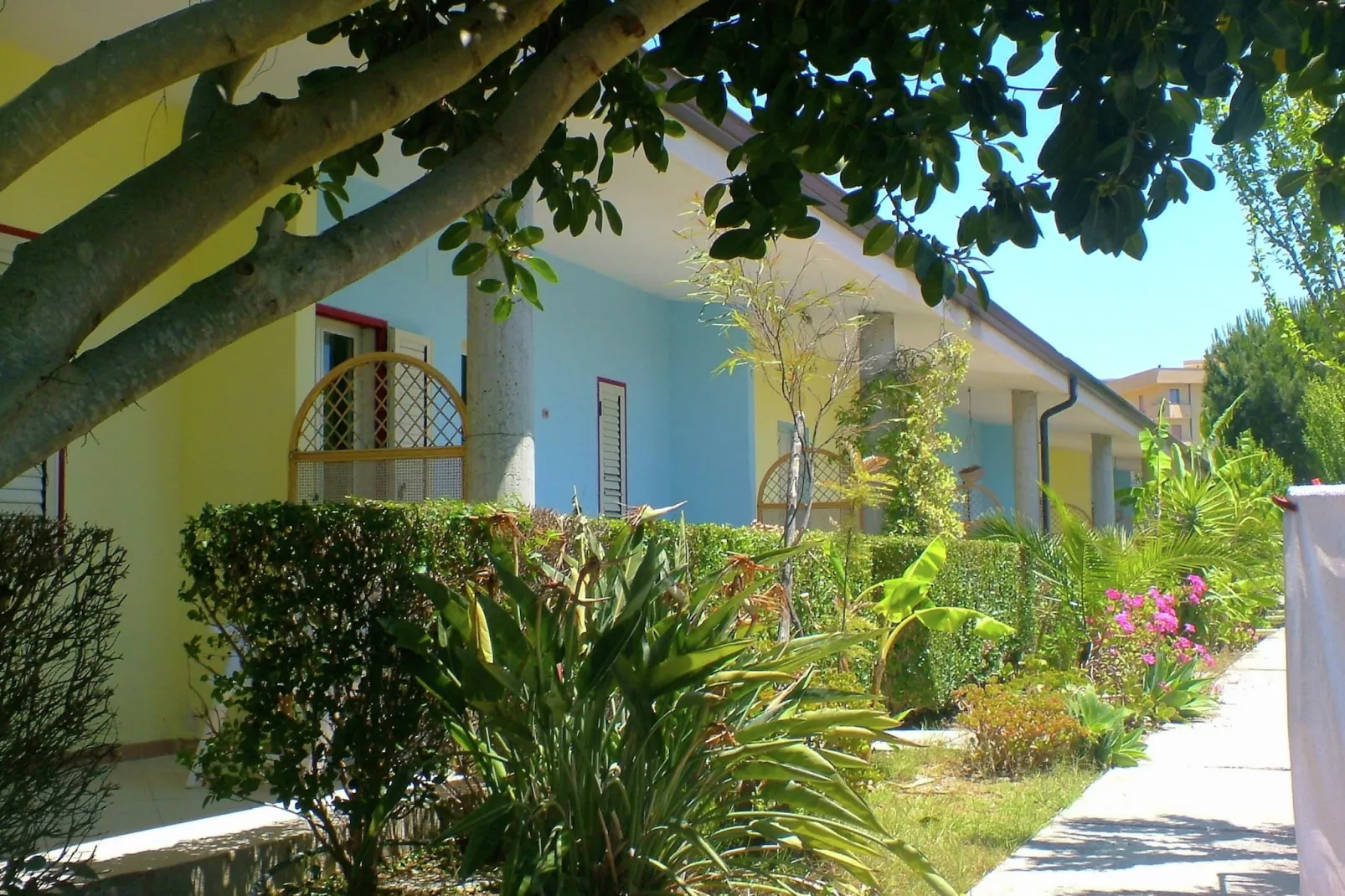 Limoncello-Buitenkant zomer