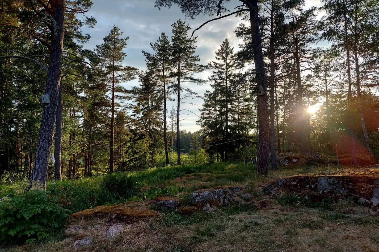 5 Personen vakantie huis in Knutby-Buitenlucht