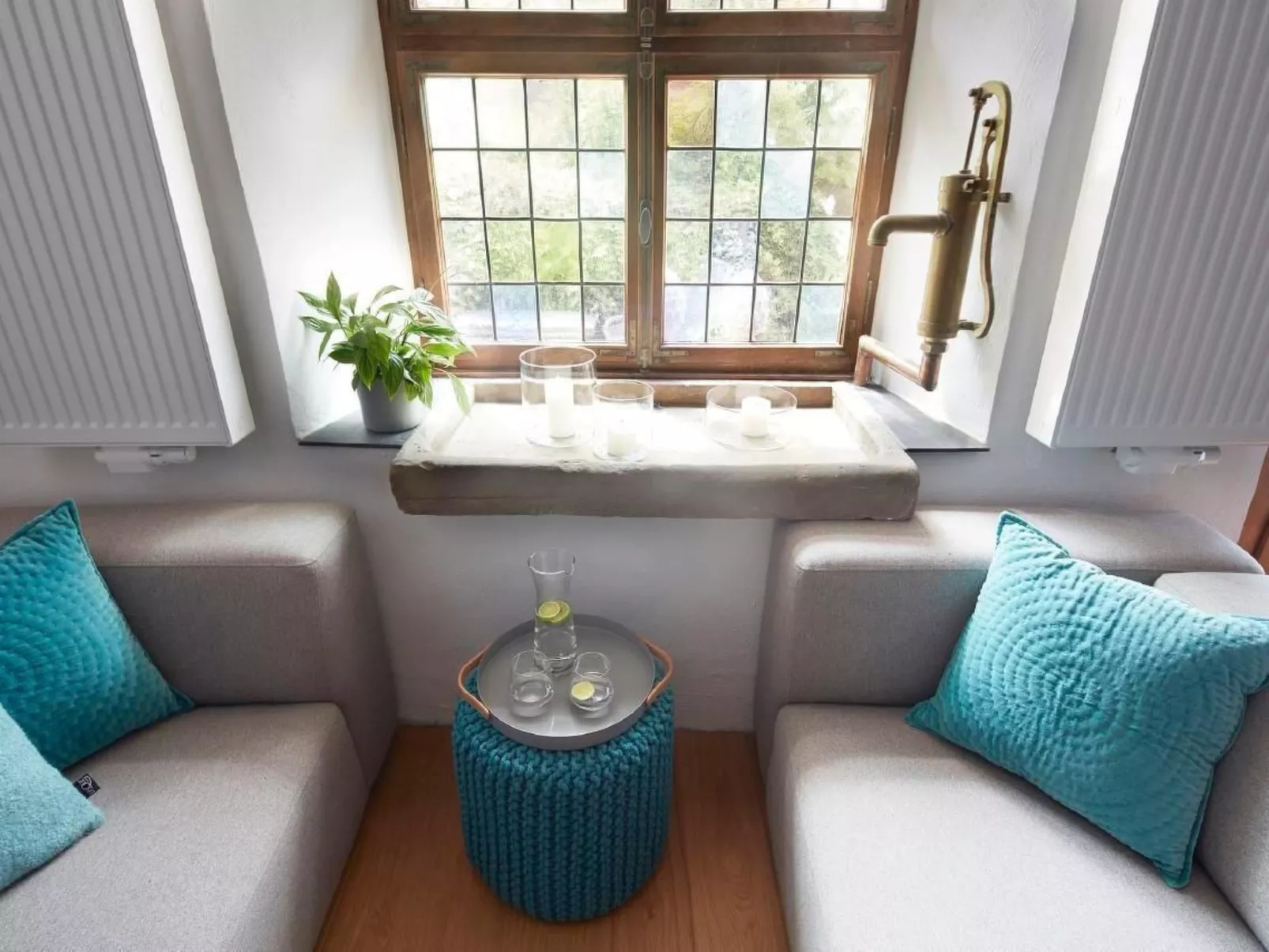 Olive Tree - Image-tags.info