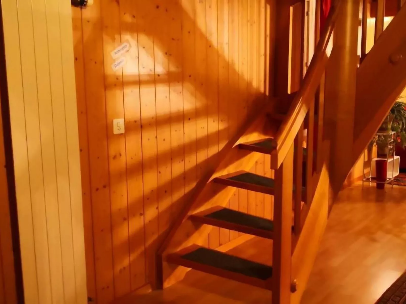 Karotte - Image-tags.info