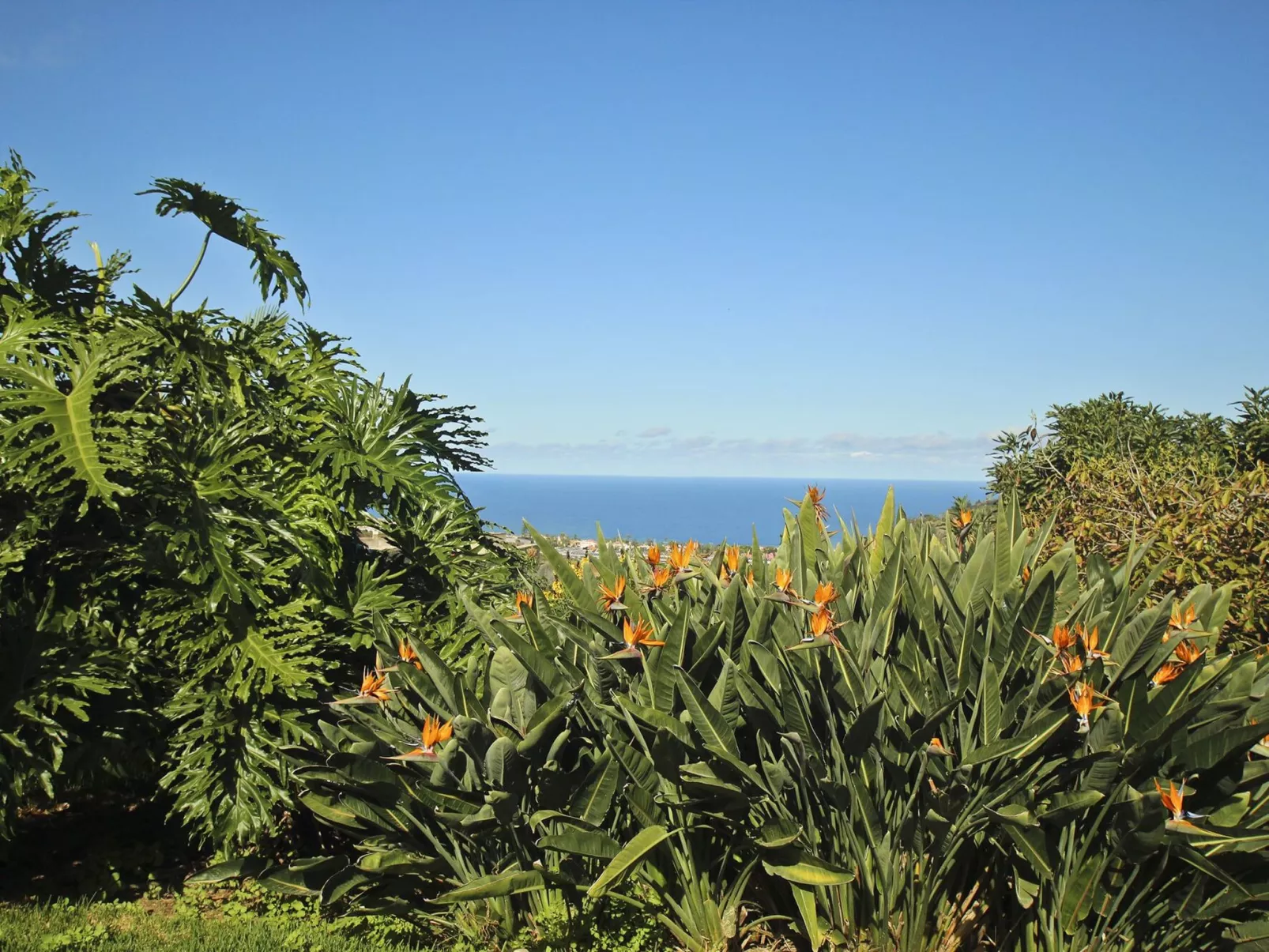 Finca Tocama - Buiten