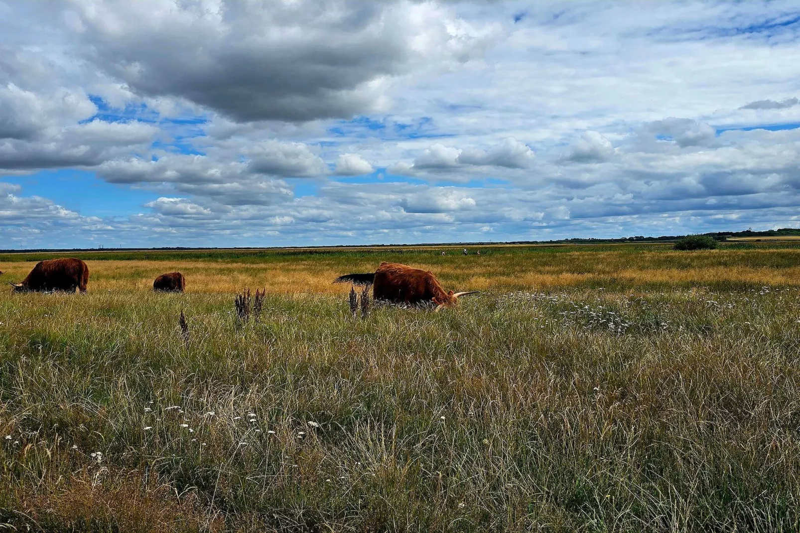 8 persoons vakantie huis in Skjern-By Traum - Niet-getagd