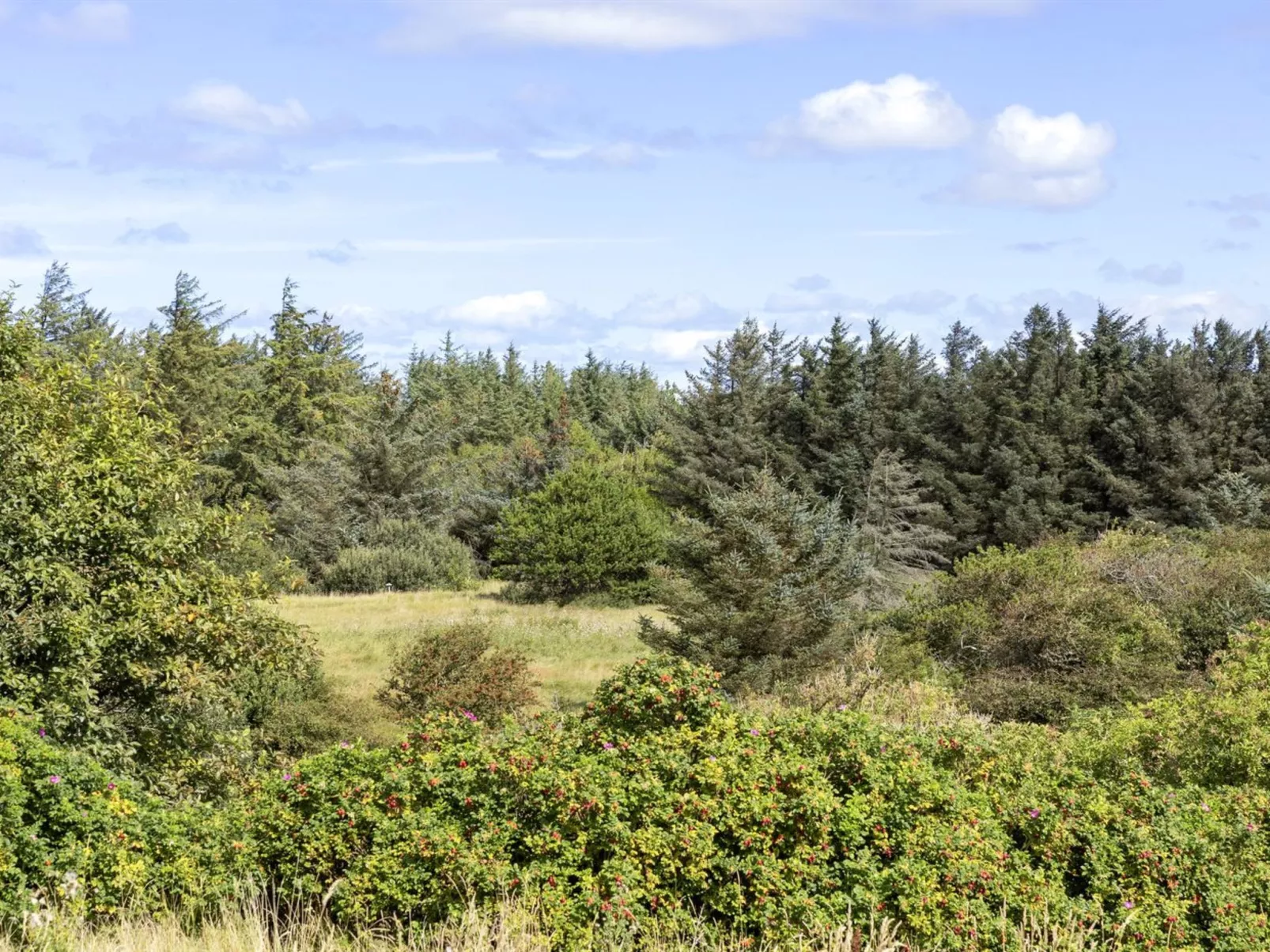 "Joris" - 1.5km from the sea-Buiten