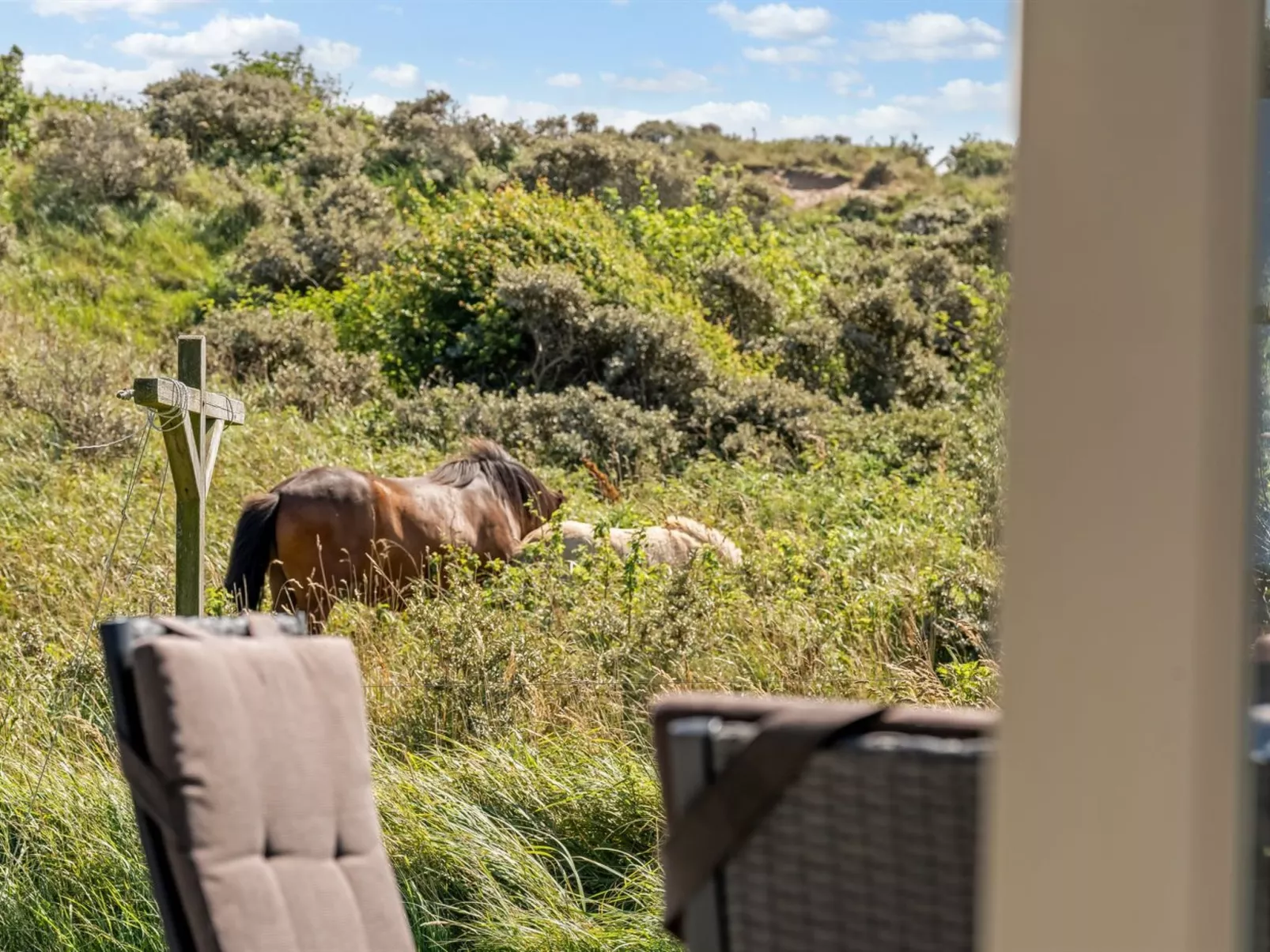 "Senija" - 334m from the sea - Buiten