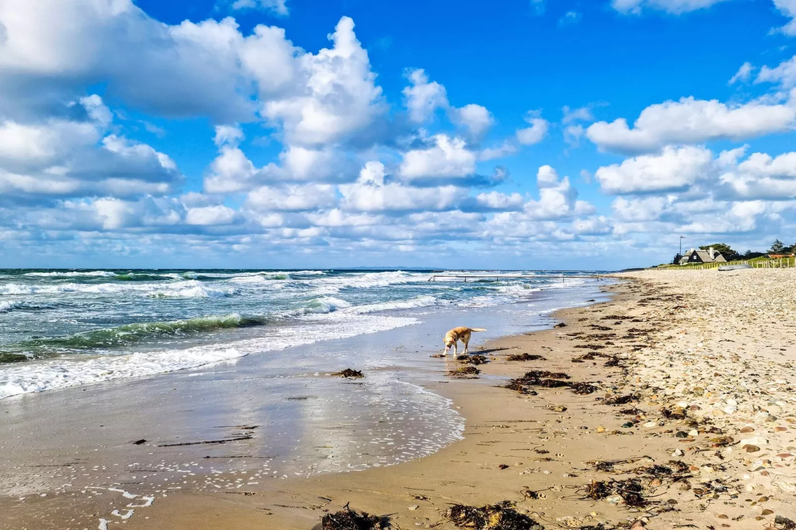 6 persoons vakantie huis in Græsted-By Traum