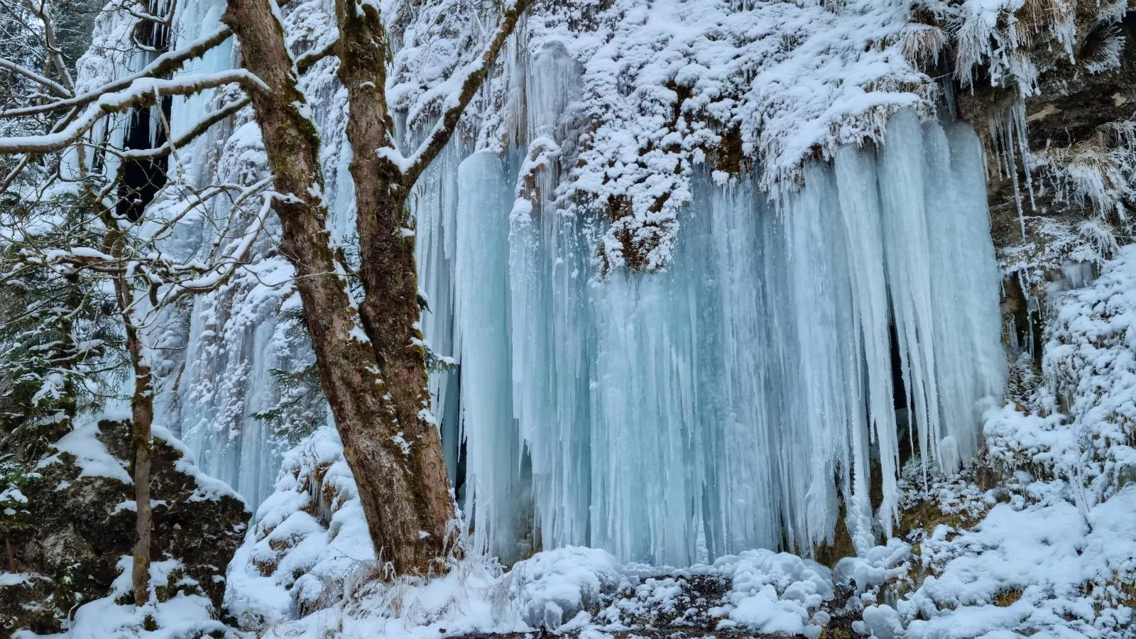 Oachkatzl-Gebied winter 5km