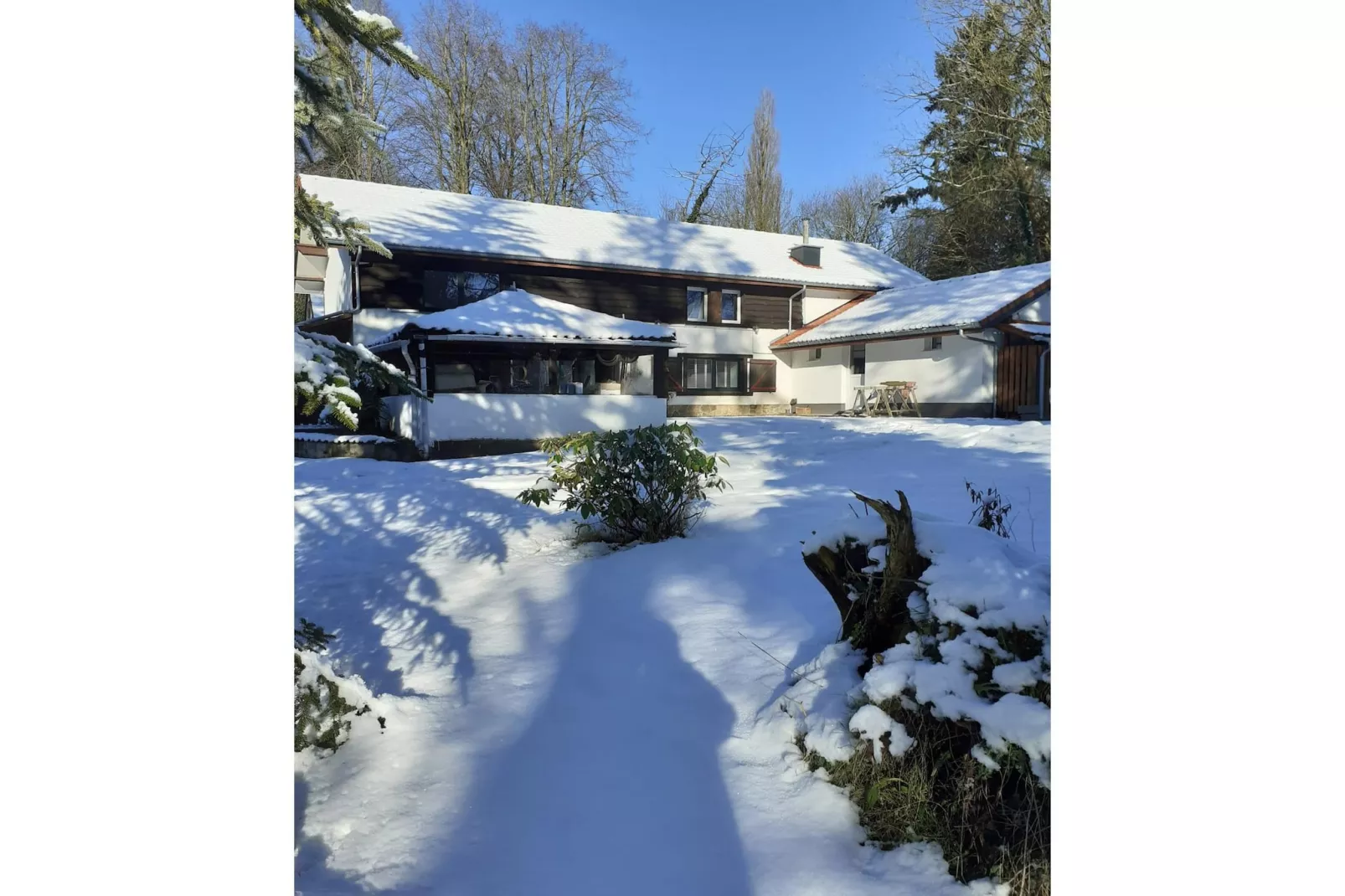 L'Ecureuil Blanc - Exterieur winter