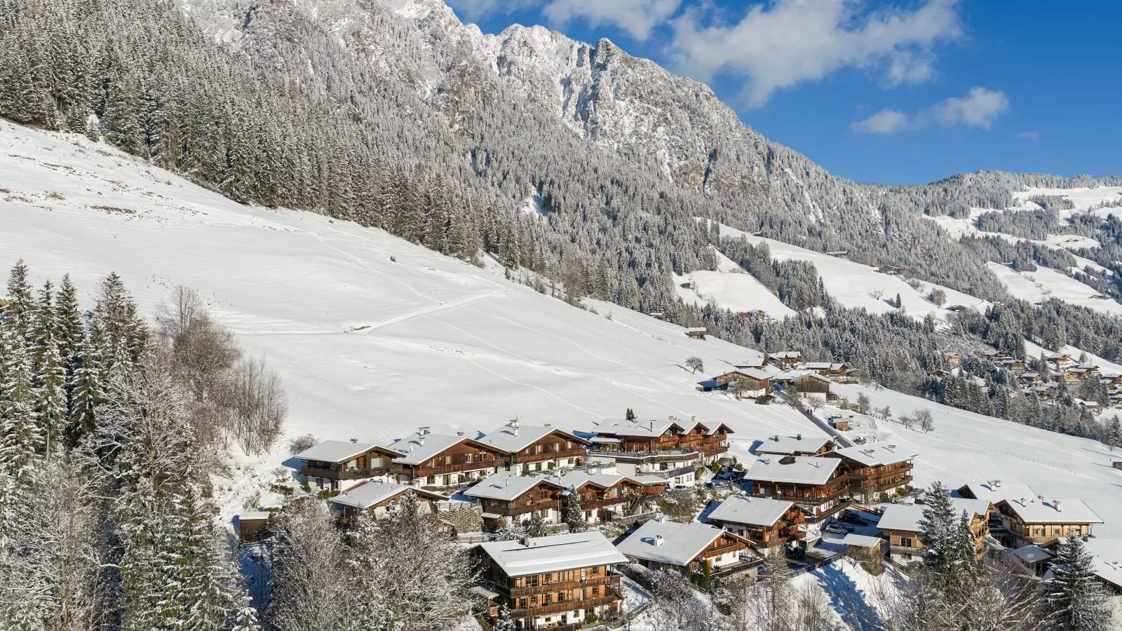DAS Alpbach-Exterieur winter