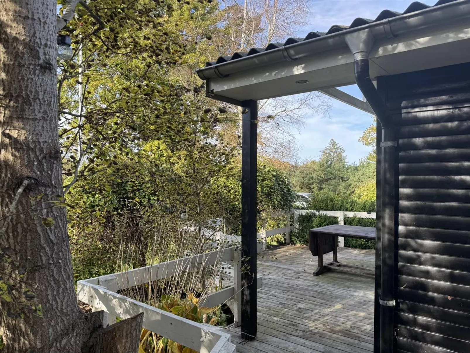 "Felicia" -  from the sea - Buiten