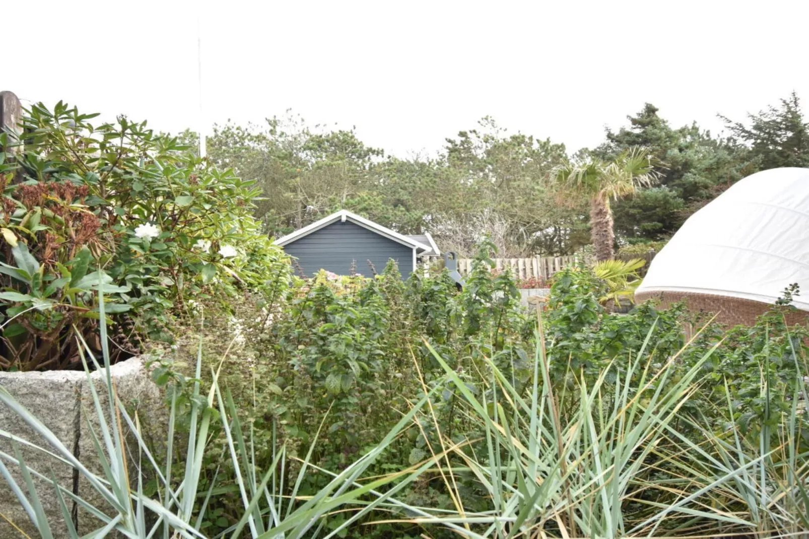 382416-Buitenkant zomer