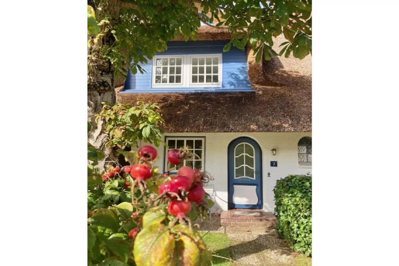 275862-Buitenkant zomer