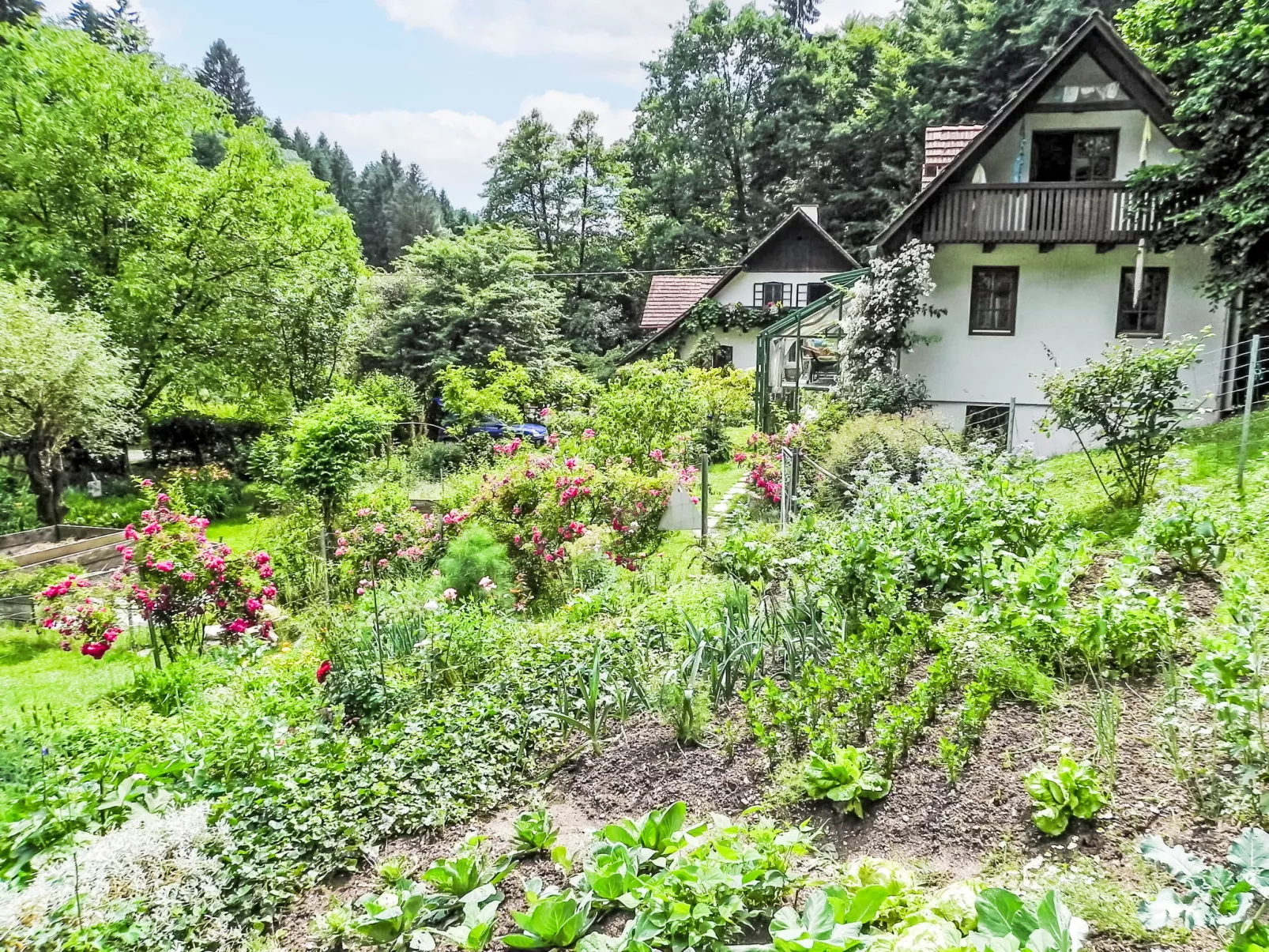 Himmelreichmühle-Buiten
