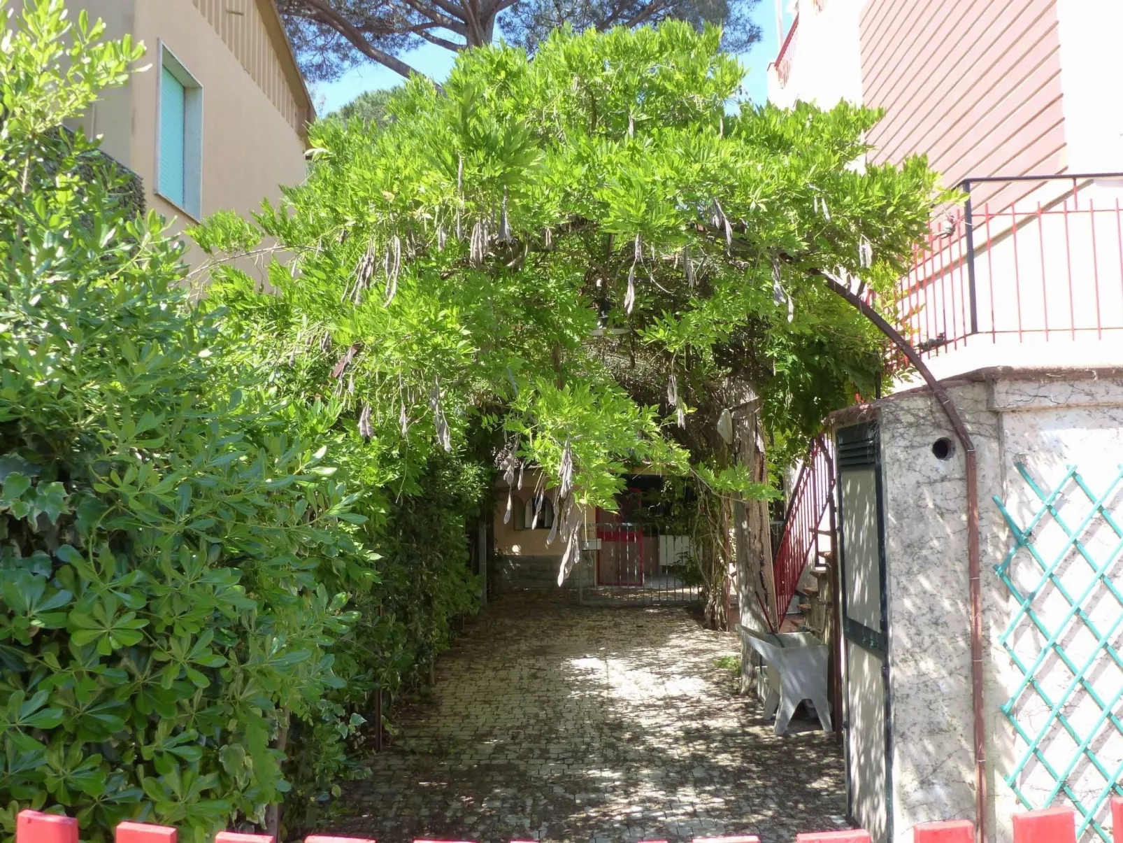 Große Wohnung in Mazzanta mit Schöner Terrasse - Image-tags.info