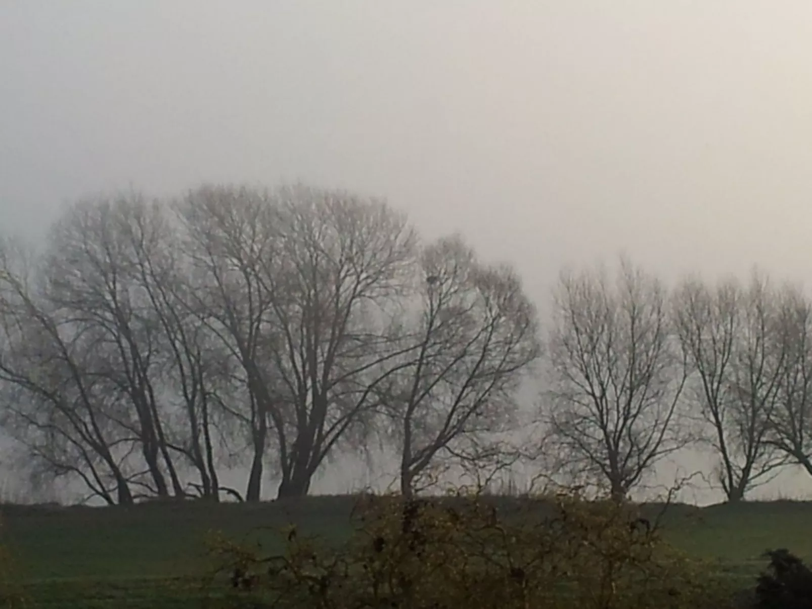 Elbufer - Image-tags.info