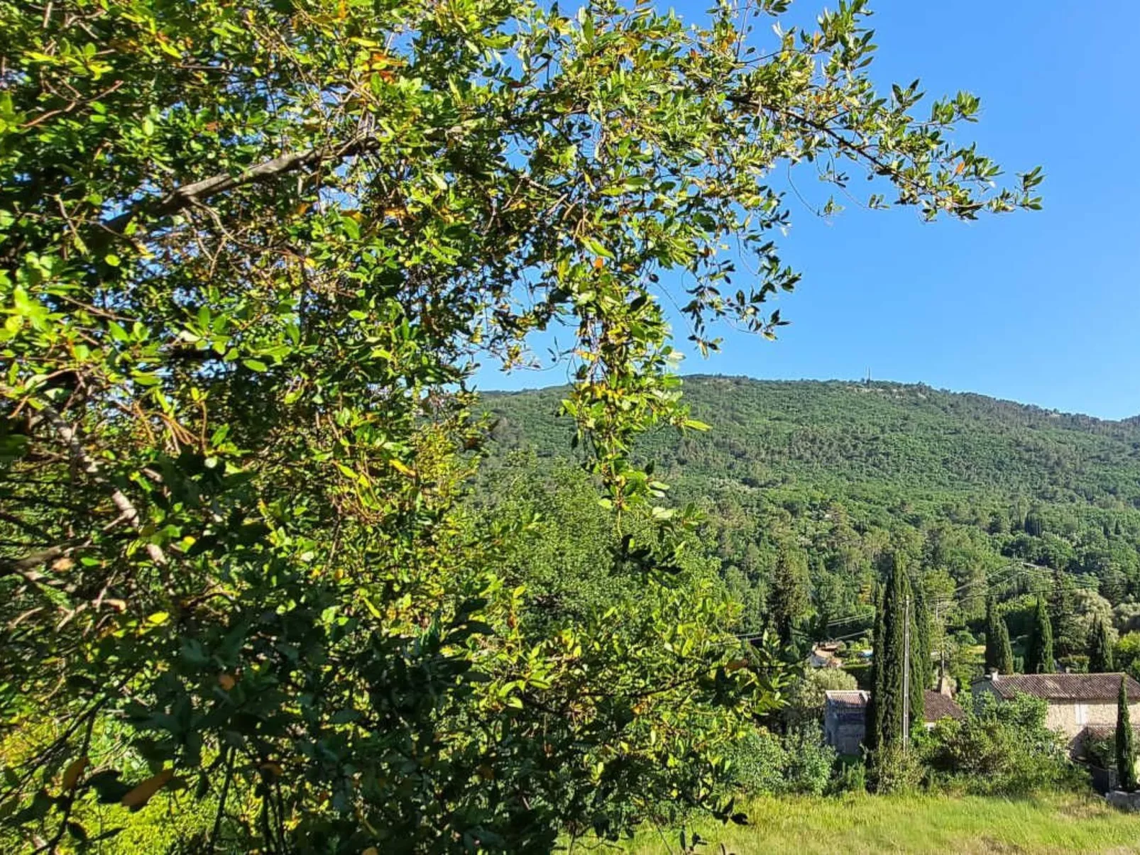 "Maison du Paysan" (Bauernhaus) - Image-tags.info