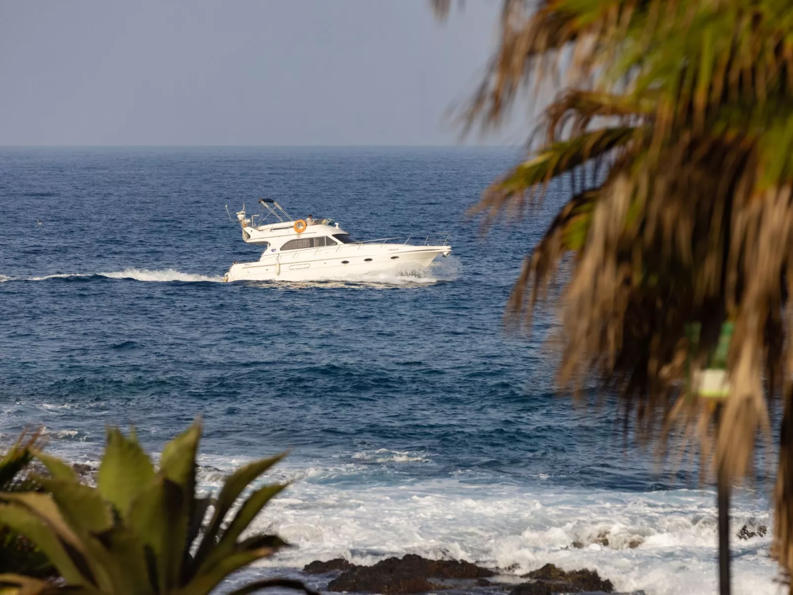 Wohnung in Palm-Mar mit Großer Terrasse und Meerblick - Image-tags.info
