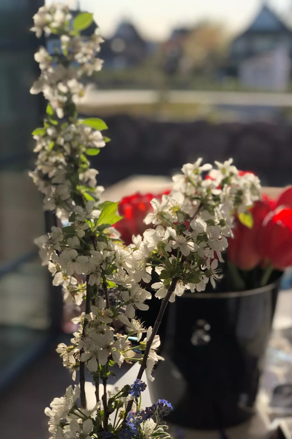 Reethus Linda am Schloß Groß Schwansee - Image-tags.info