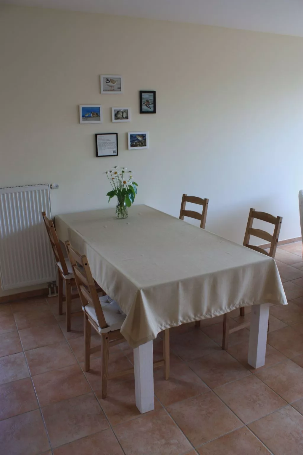 Sandregenpfeifer - Image-tags.info