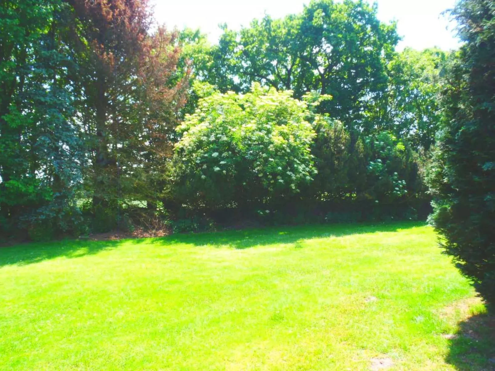 C1 - Image-tags.info