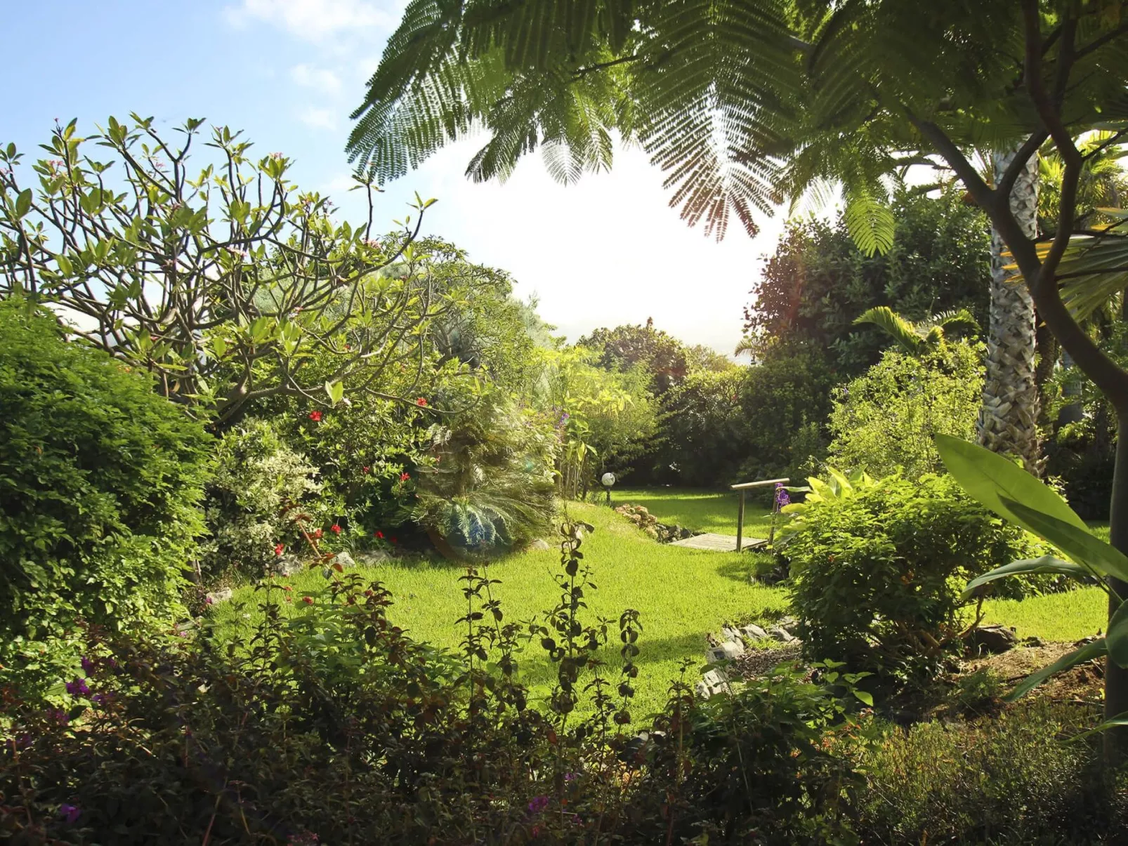 Finca Tocama - Buiten