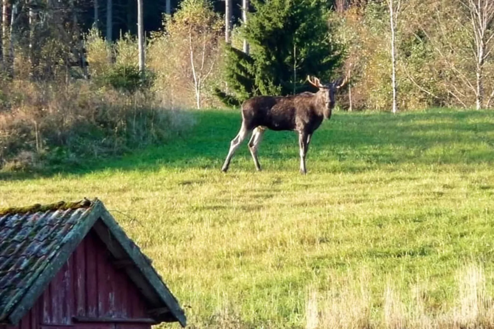 6 Personen vakantie huis in HUNNEBOSTRAND - Buitenlucht