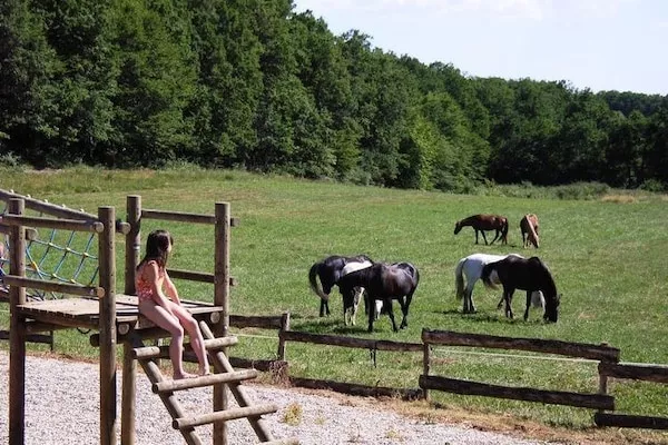 Domaine de Gavaudun - Gite La Chatière-Parkfaciliteiten