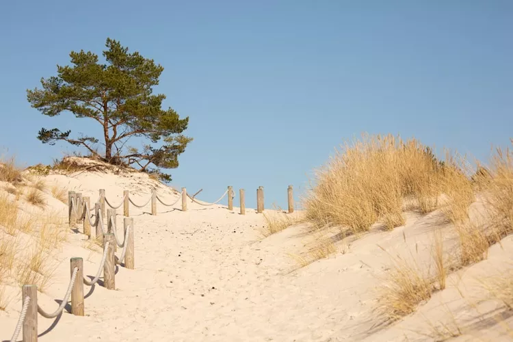 Dom wakacyjny w Choczewie dla max 5 osób-Gebieden zomer 20km