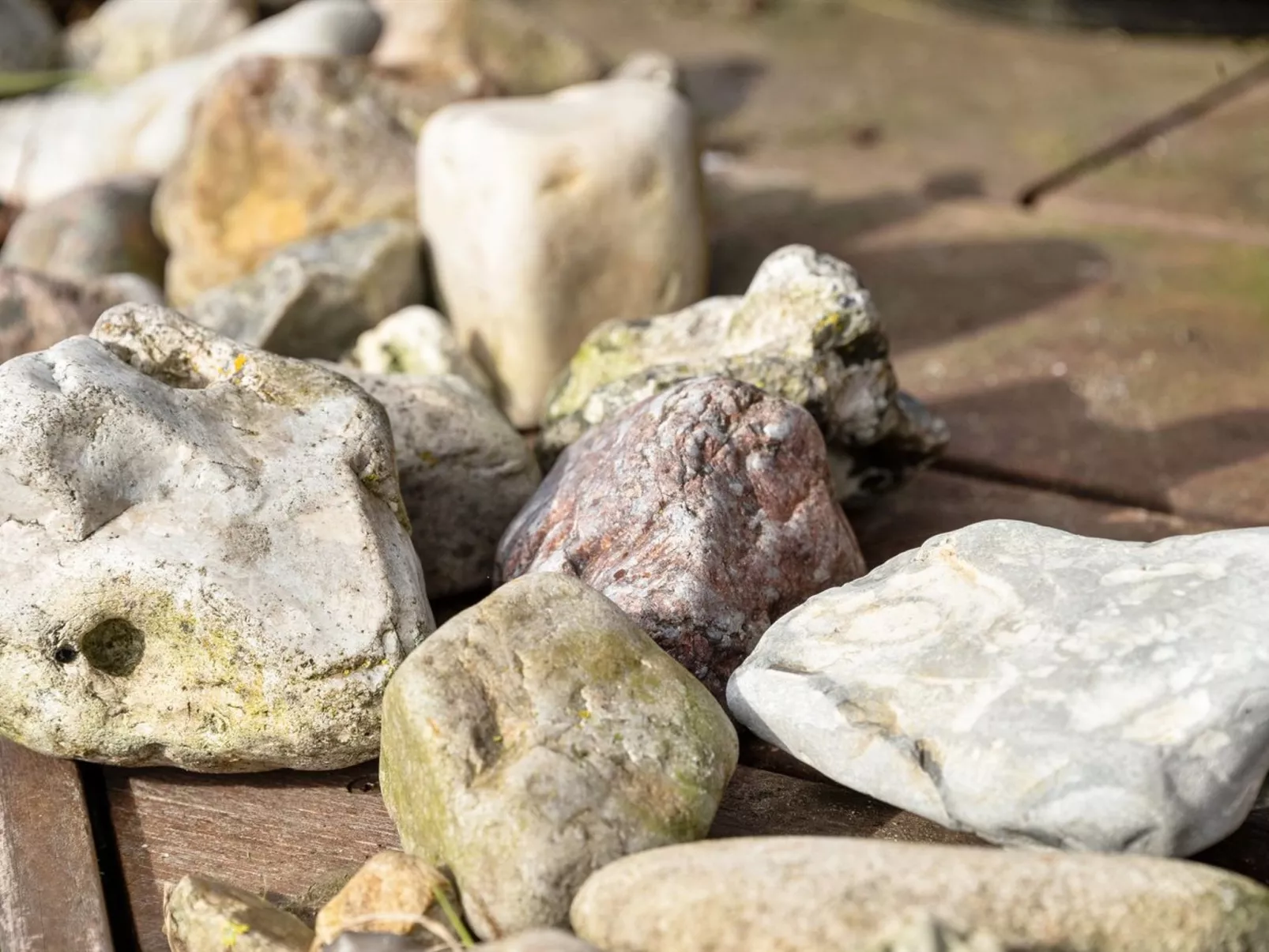 "Fortuna" - 200m from the sea - Binnen