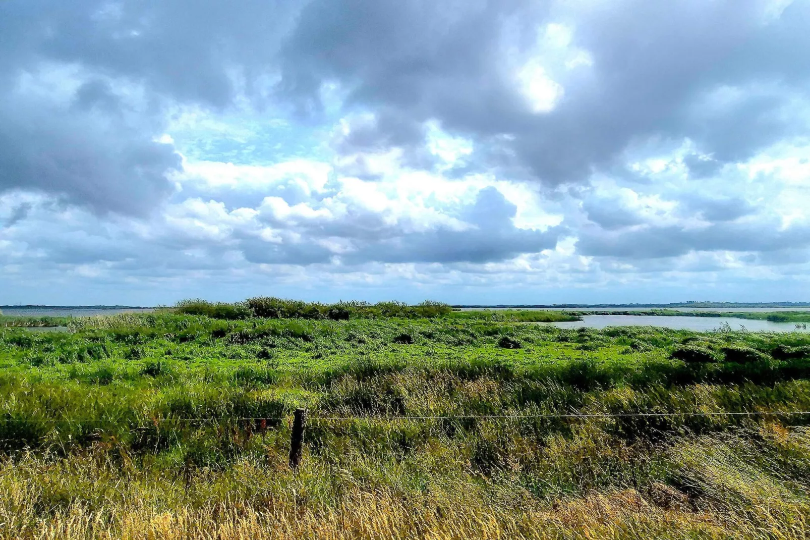 8 persoons vakantie huis in Skjern-By Traum - Niet-getagd